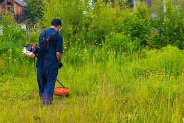 管理地等の草刈り
