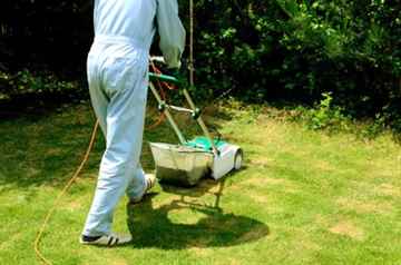 芝生の刈り込み、芝刈り作業